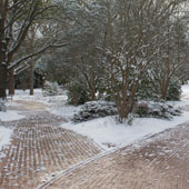 Snow on the Horseshoe