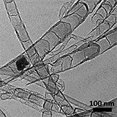 sample of a microscopic slide