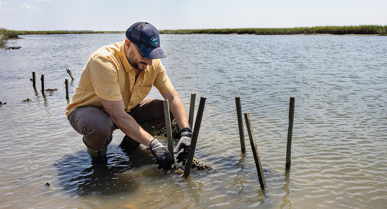 A man in a yellow shirt kneels in shallow water as he adjusts wooden stakes at a test site.